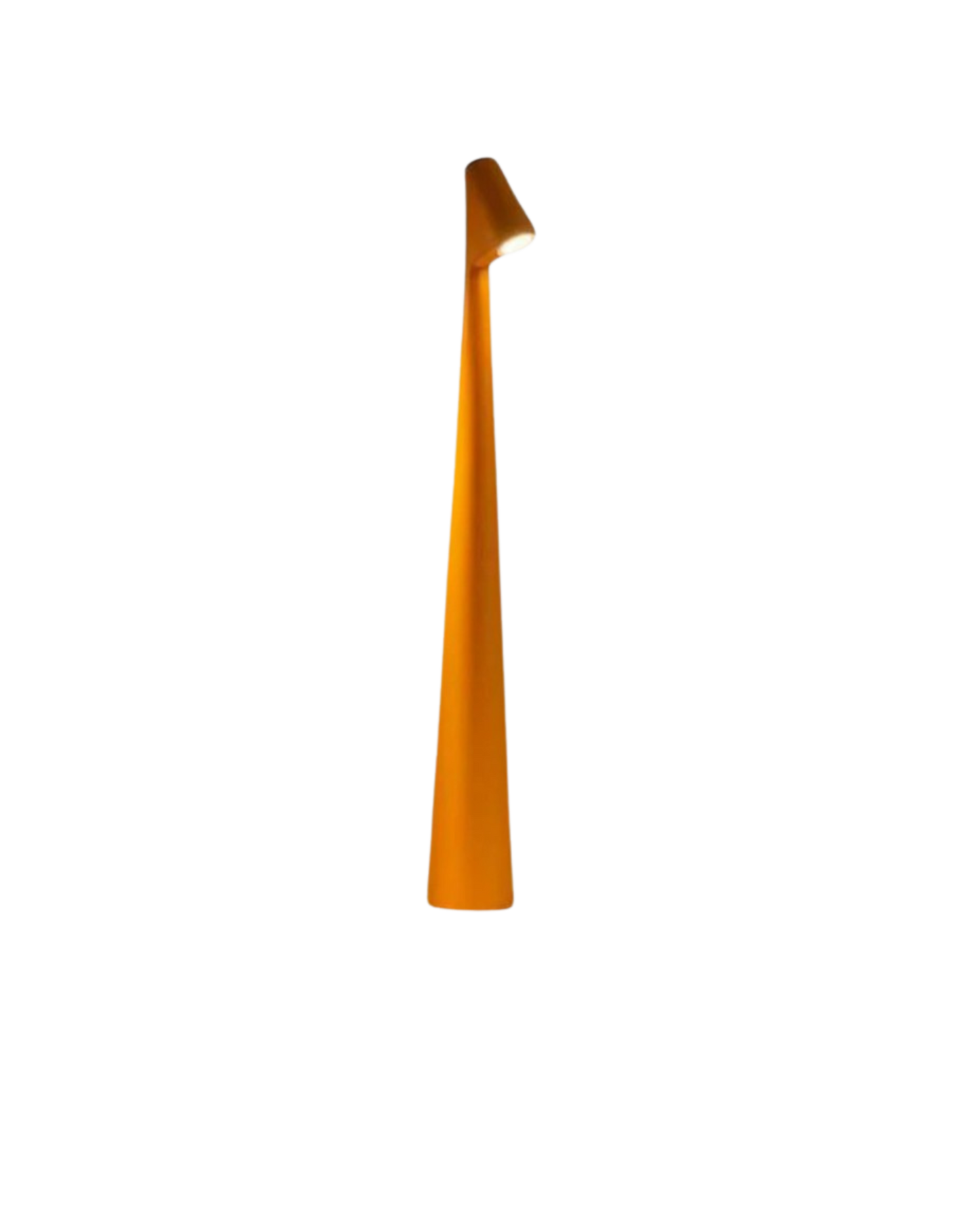 Le Lumière Élégante