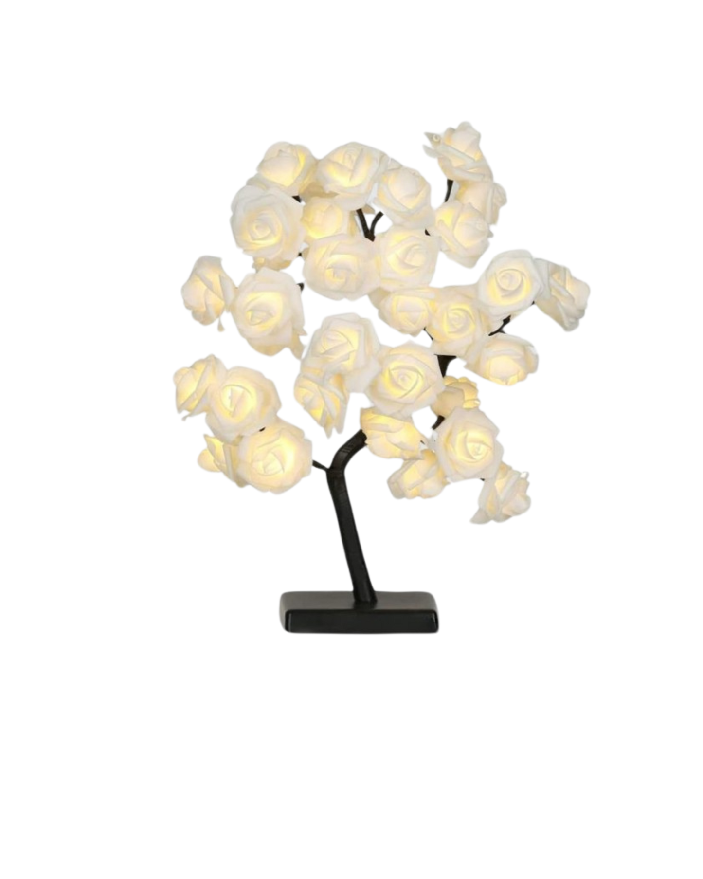 Le Rosier Lumineux