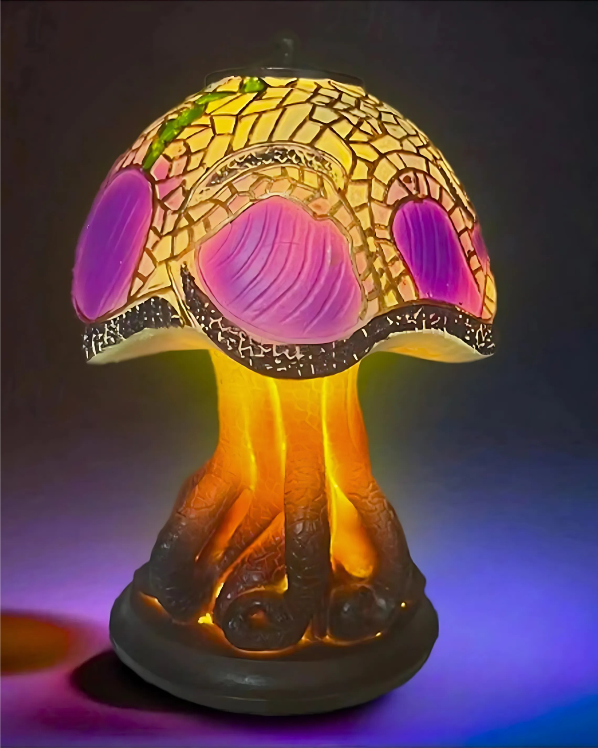 La Lumière Fongique