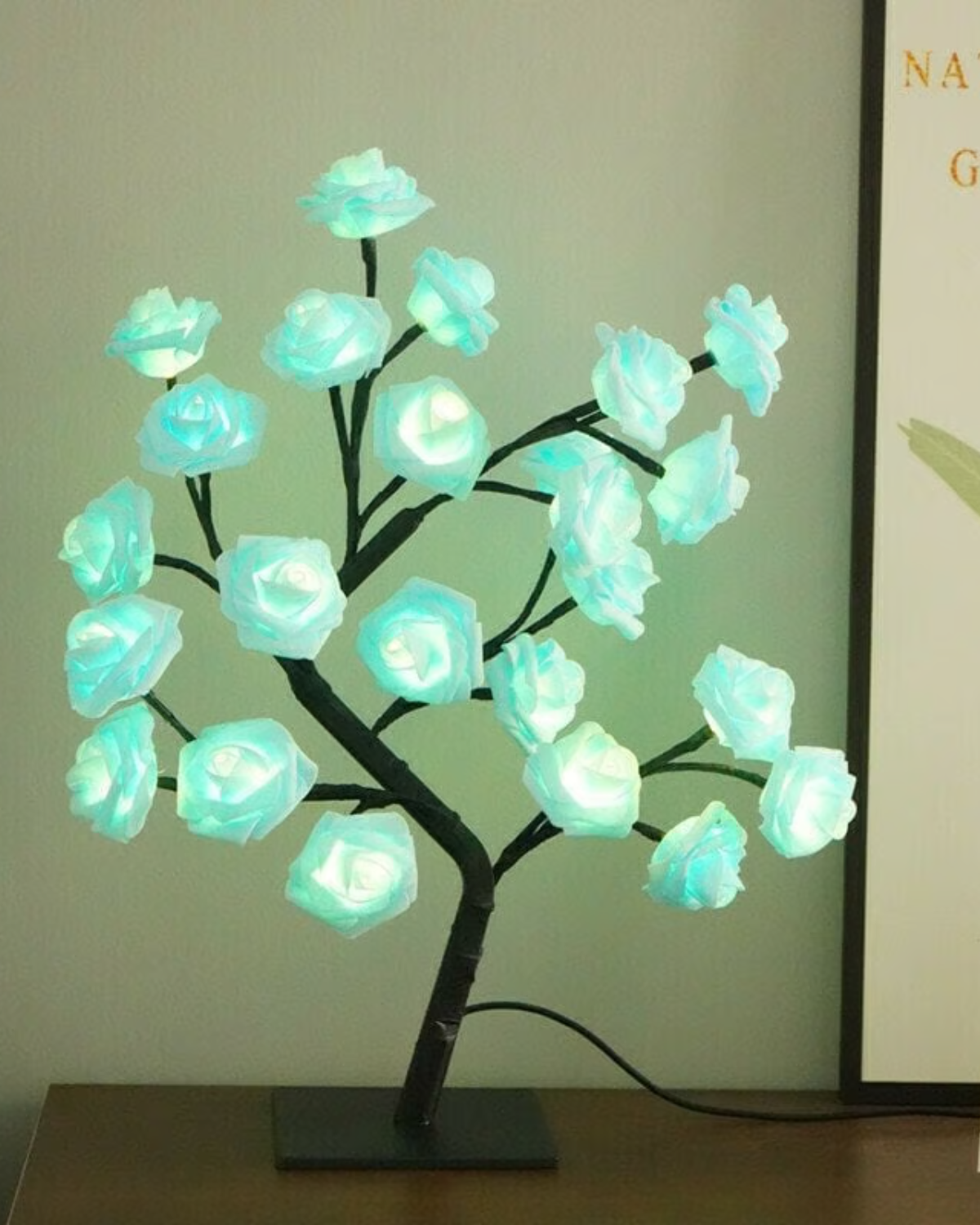 Le Rosier Lumineux