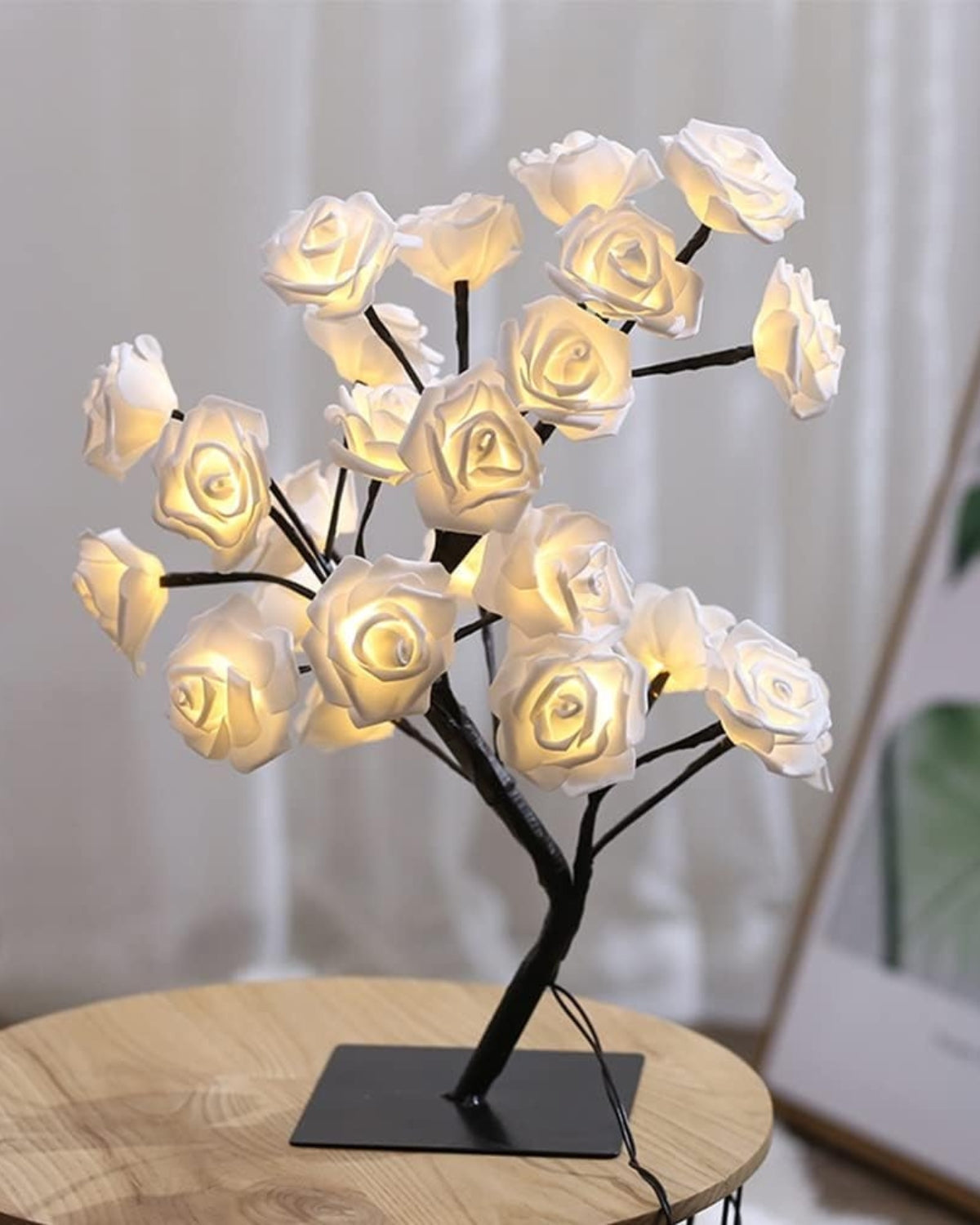 Le Rosier Lumineux