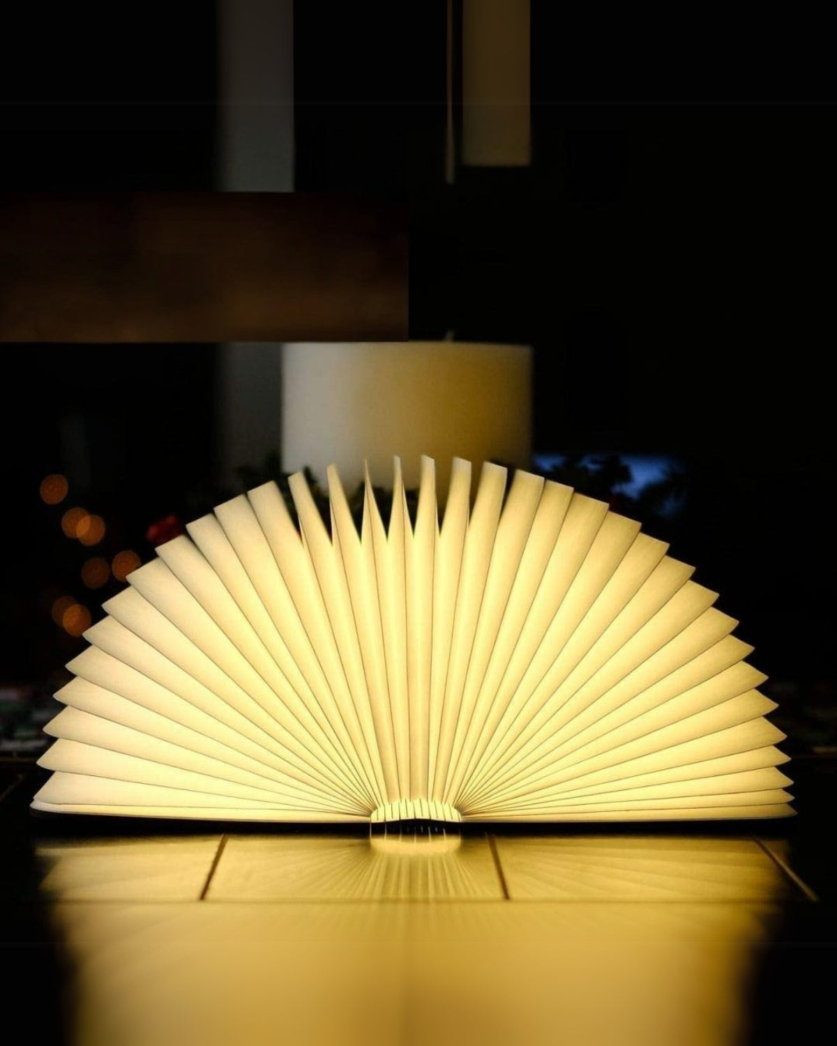 Le Livre Lumineux