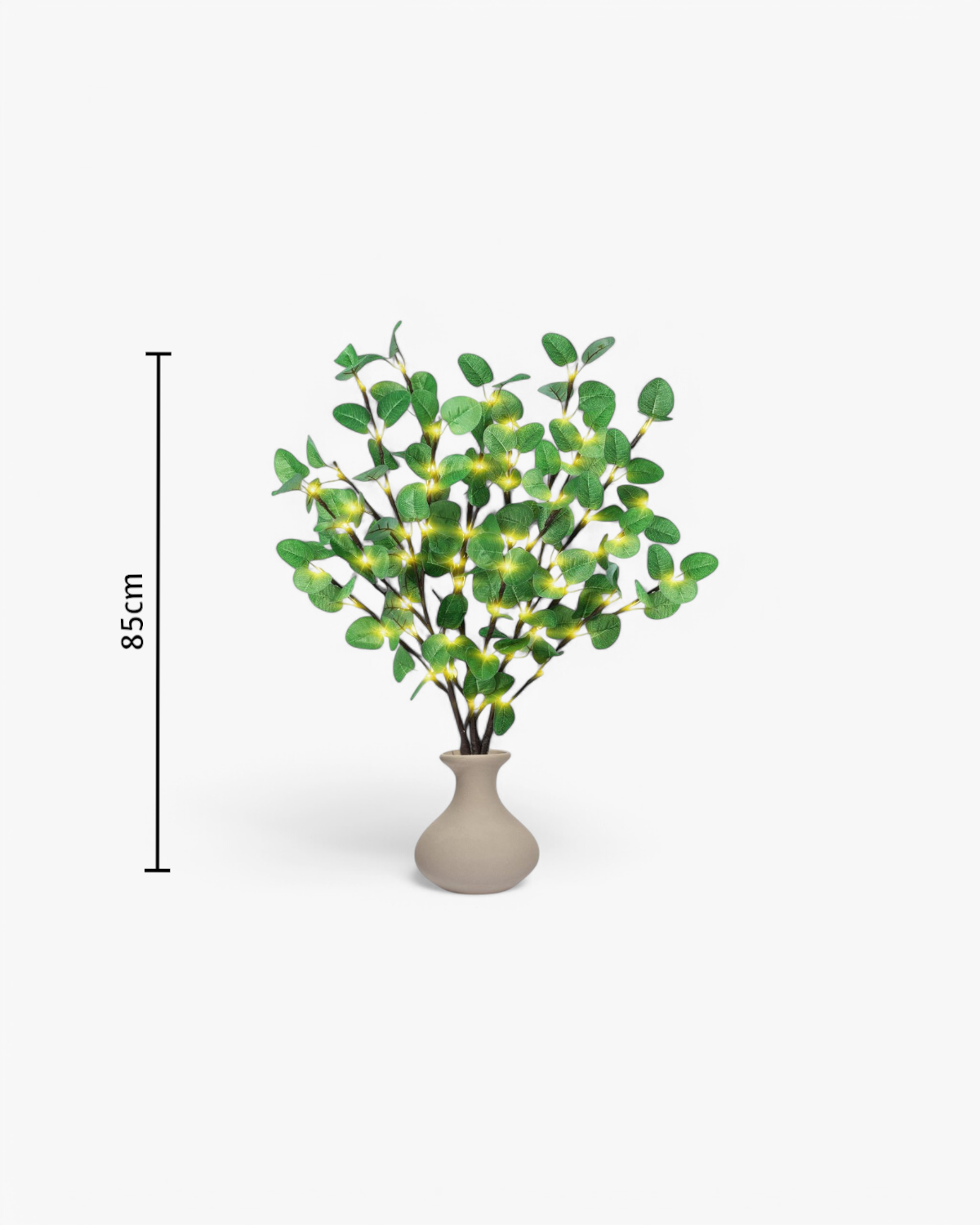 La Lumière Florale