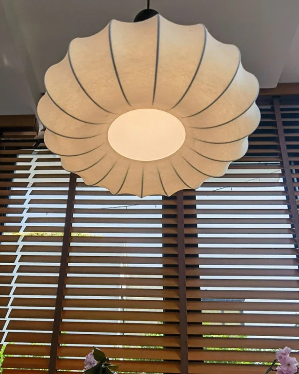 Le Lumière de Soie