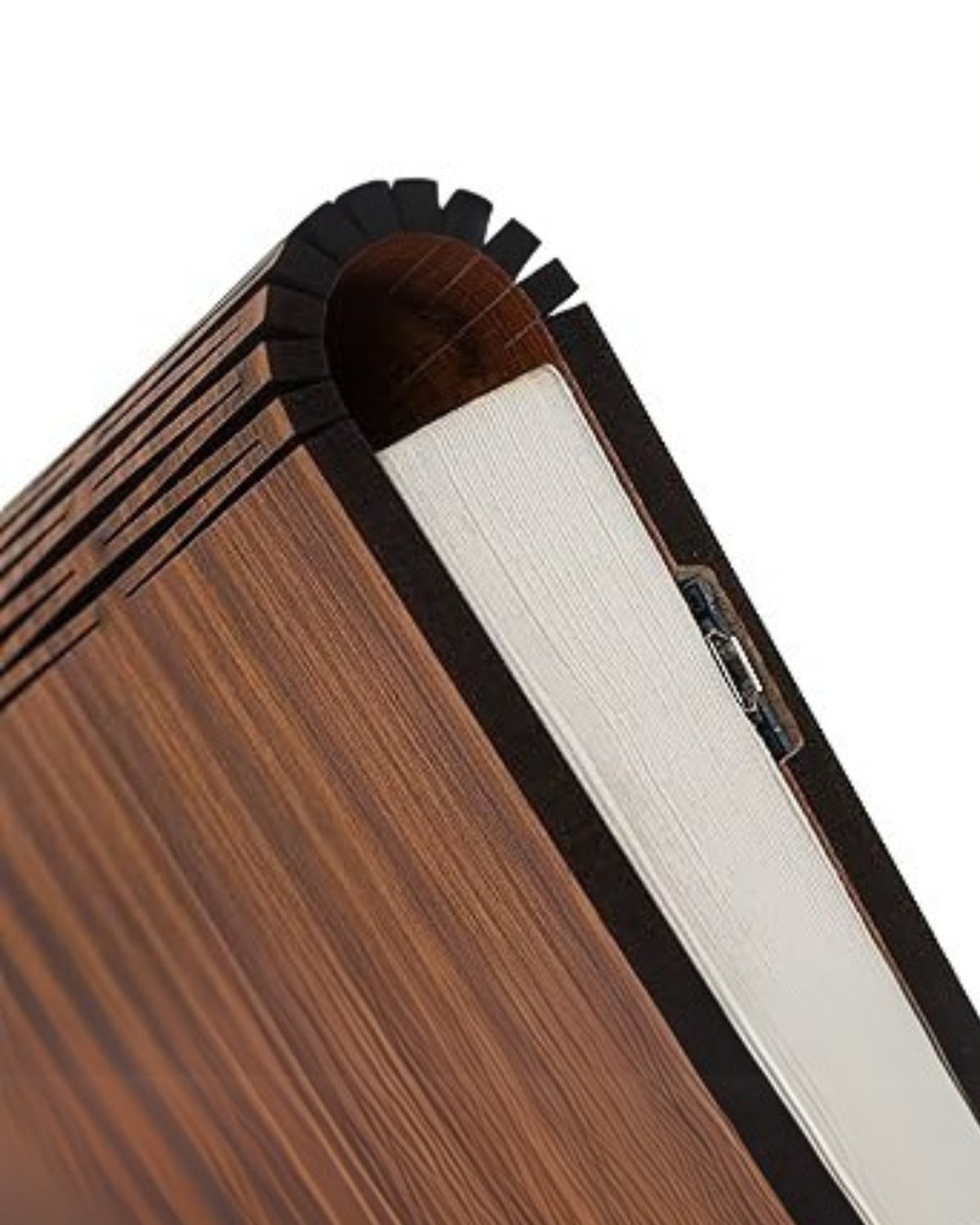Le Livre Lumineux