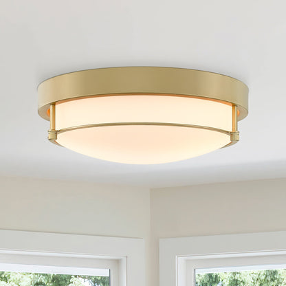 Lampada da soffitto moderna a 2 luci da 12 pollici, montaggio a filo