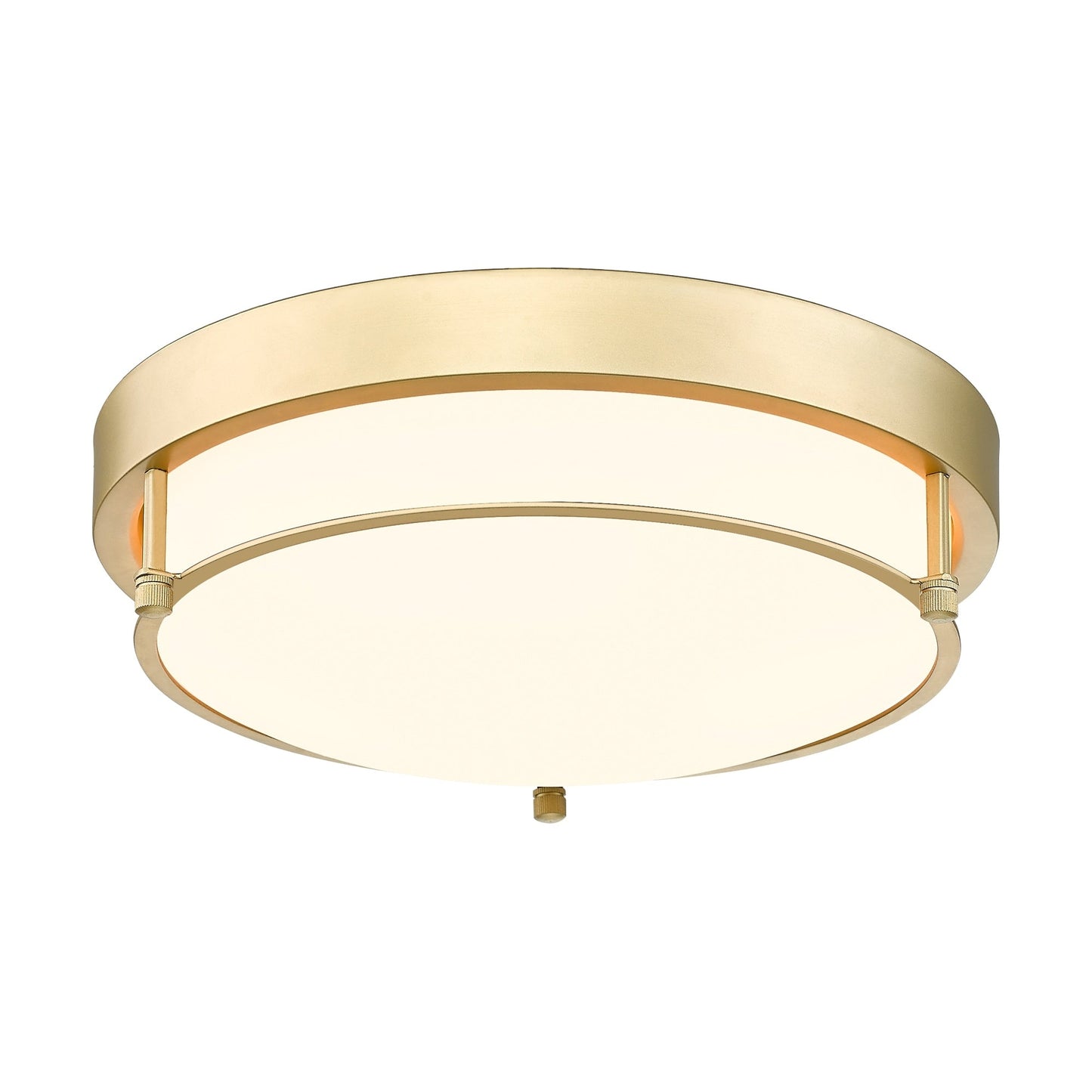Lampada da soffitto moderna a 2 luci da 12 pollici, montaggio a filo