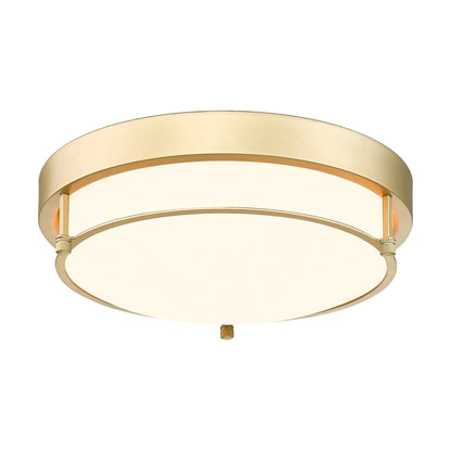 Lampada da soffitto moderna a 2 luci da 12 pollici, montaggio a filo