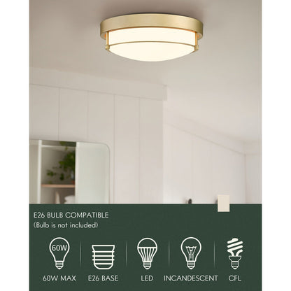Lampada da soffitto moderna a 2 luci da 12 pollici, montaggio a filo