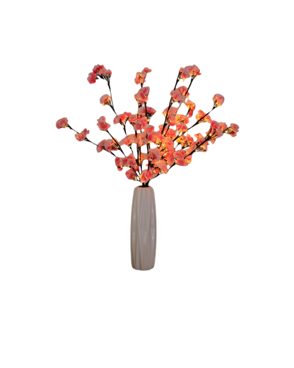 La Lumière Florale