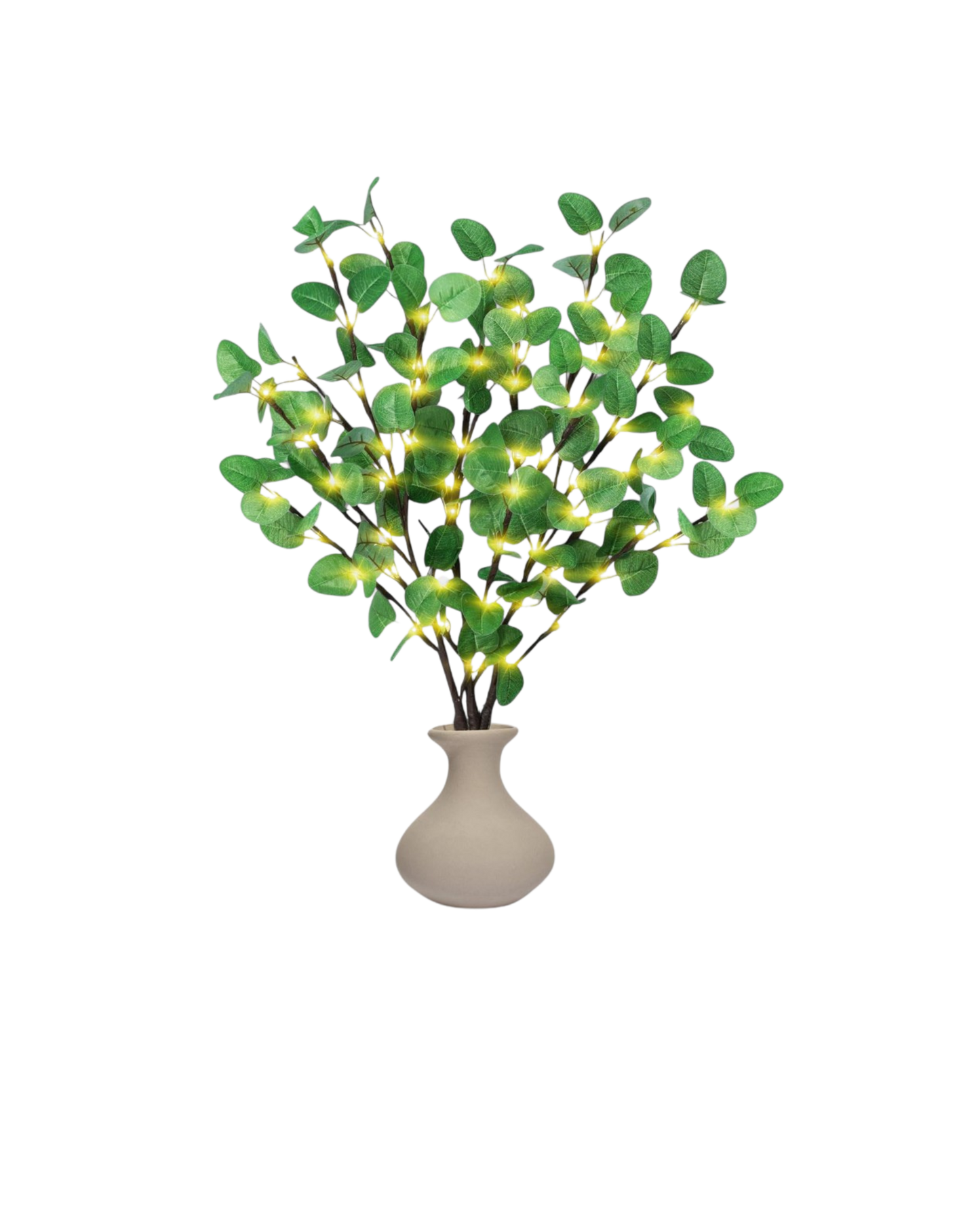 La Lumière Florale