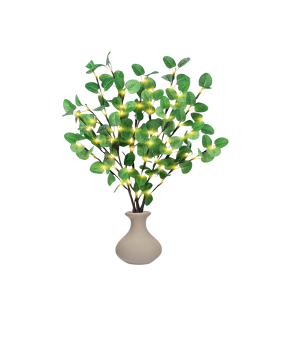 La Lumière Florale