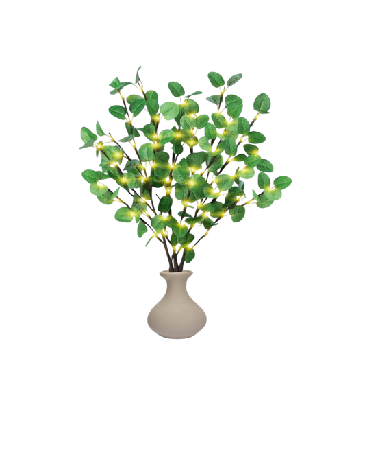 La Lumière Florale