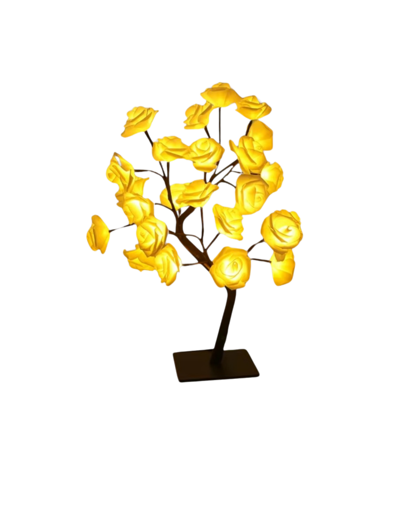 Le Rosier Lumineux
