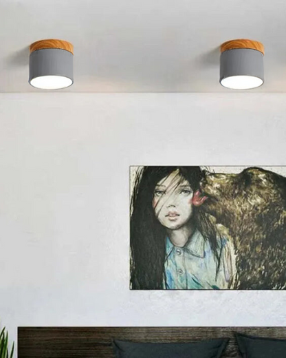 Lampada da soffitto Clairon