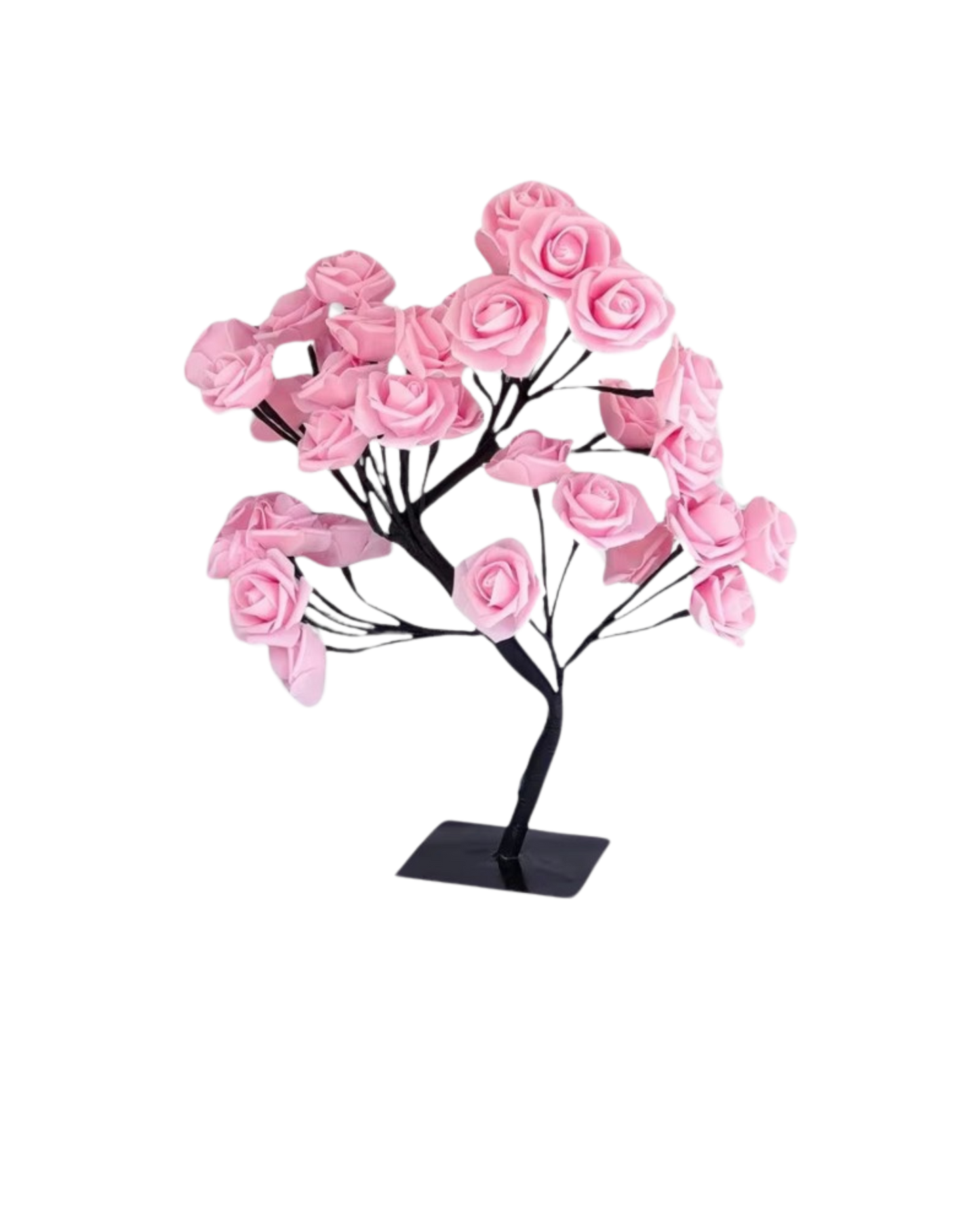 Le Rosier Lumineux