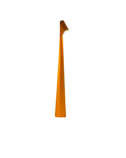Le Lumière Élégante