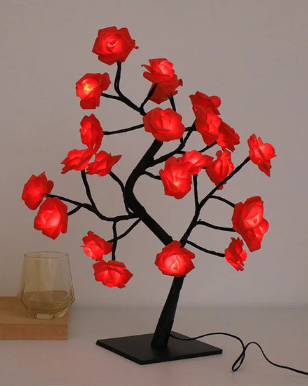 Le Rosier Lumineux