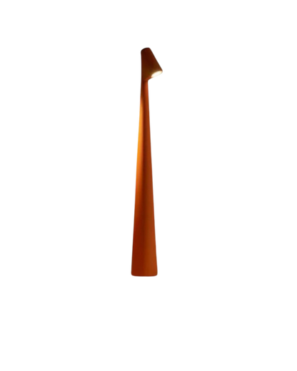 Le Lumière Élégante