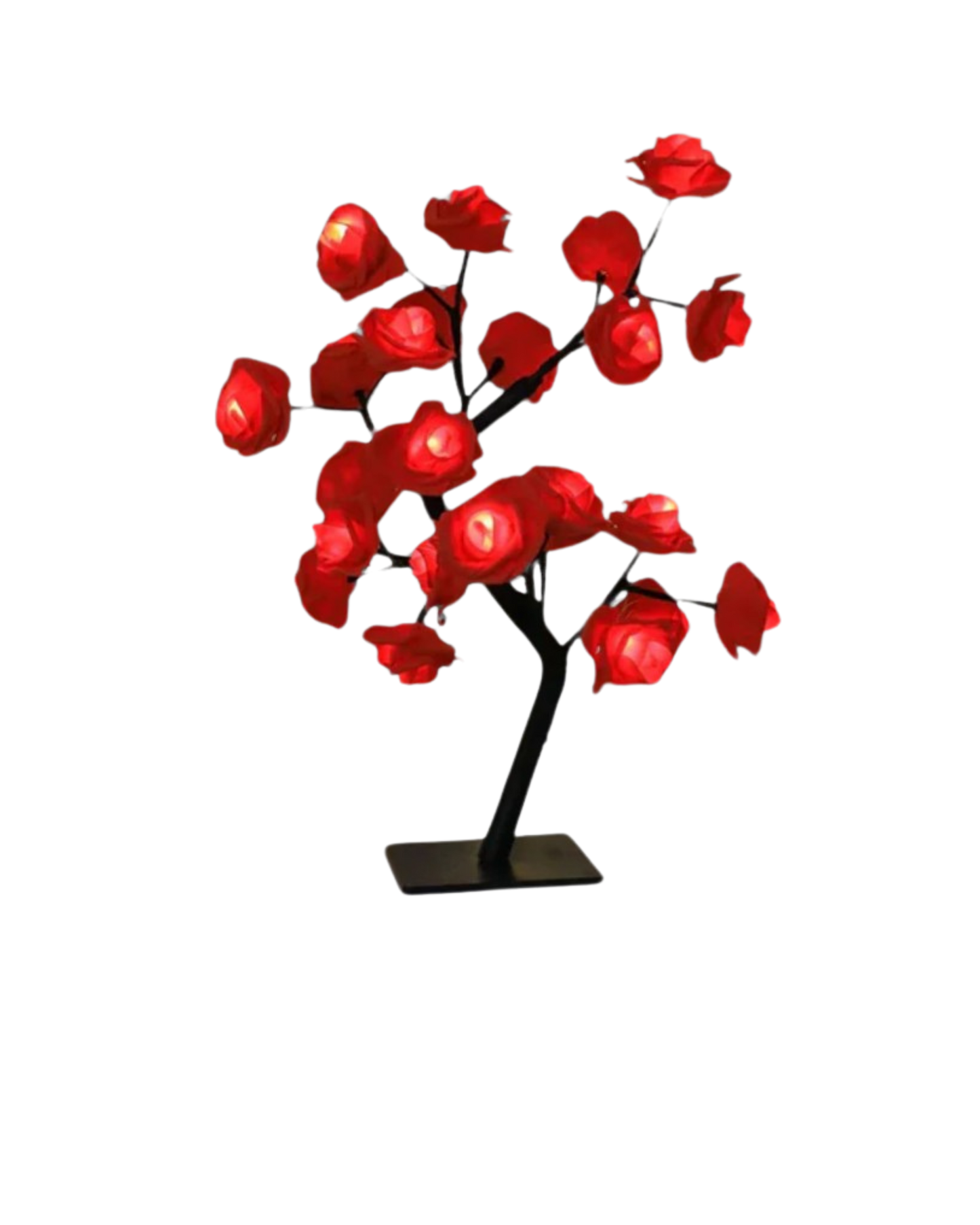 Le Rosier Lumineux