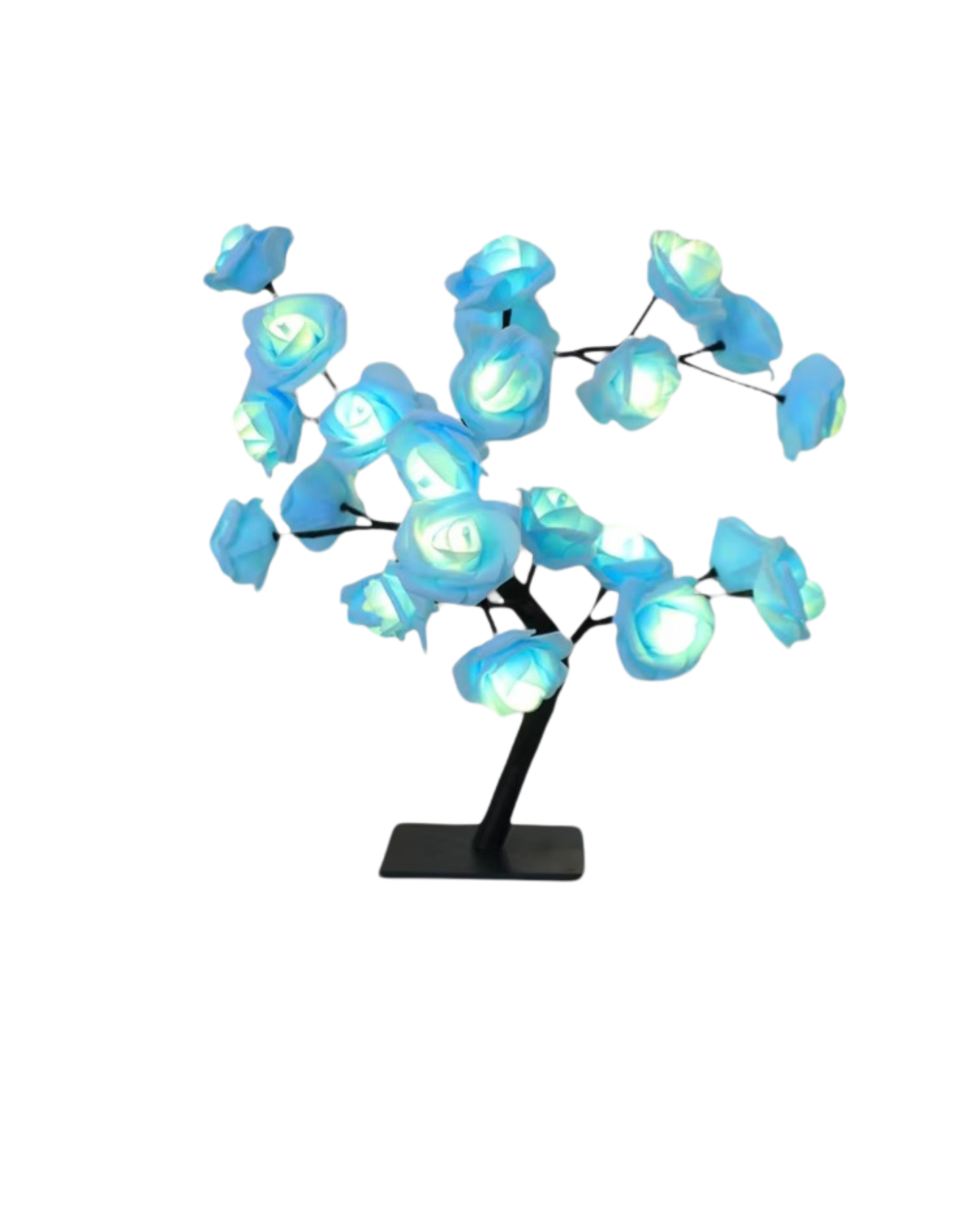 Le Rosier Lumineux