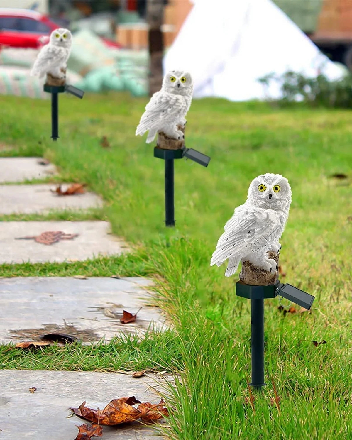Le Hibou Lumineux