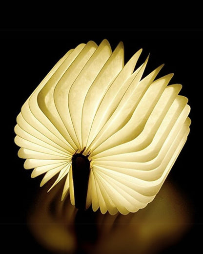 Le Livre Lumineux