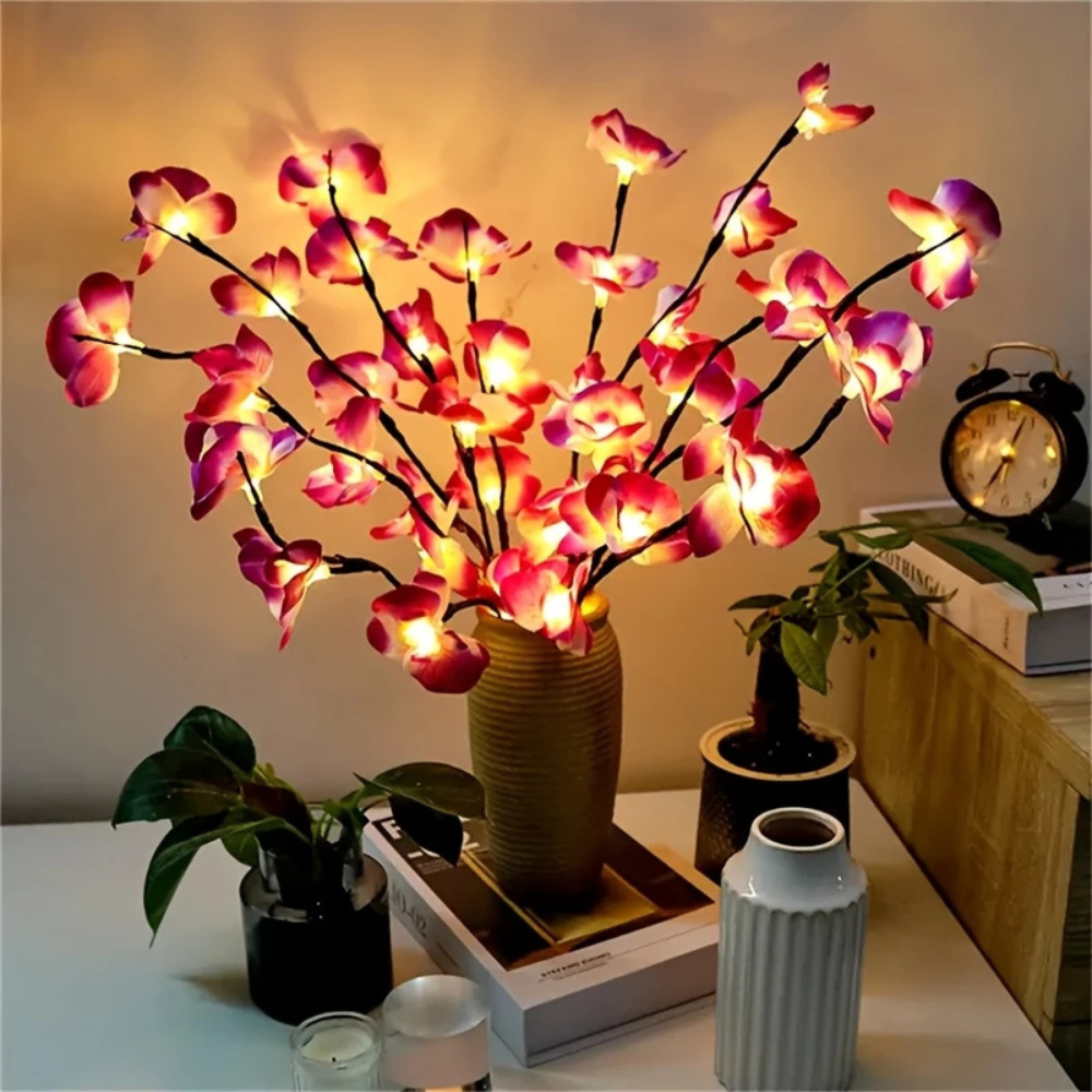 La Lumière Florale