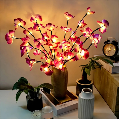La Lumière Florale
