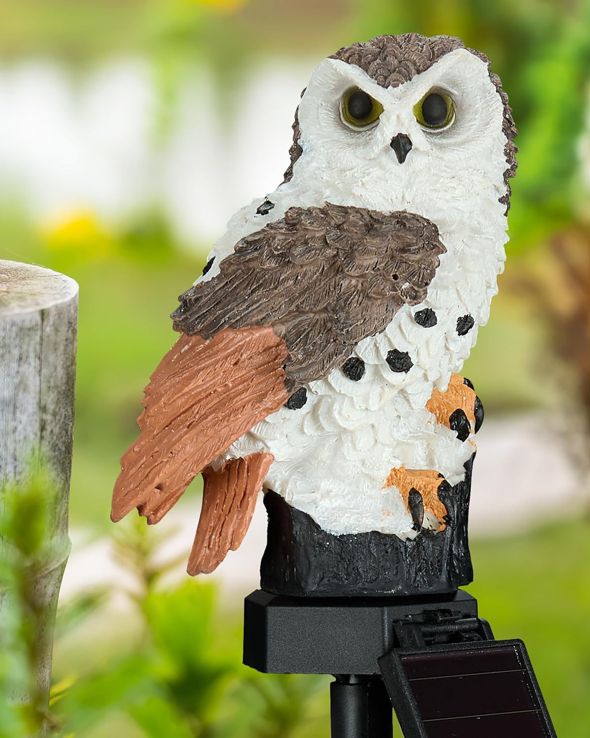 Le Hibou Lumineux