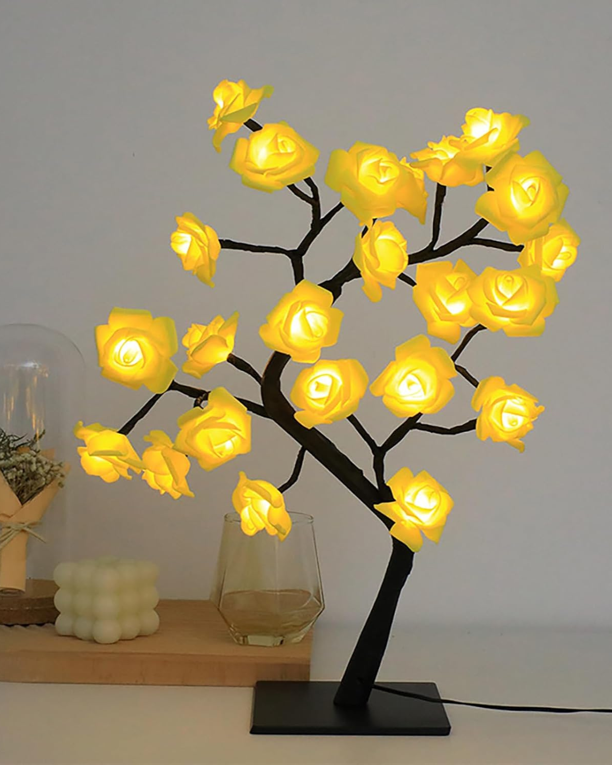 Le Rosier Lumineux