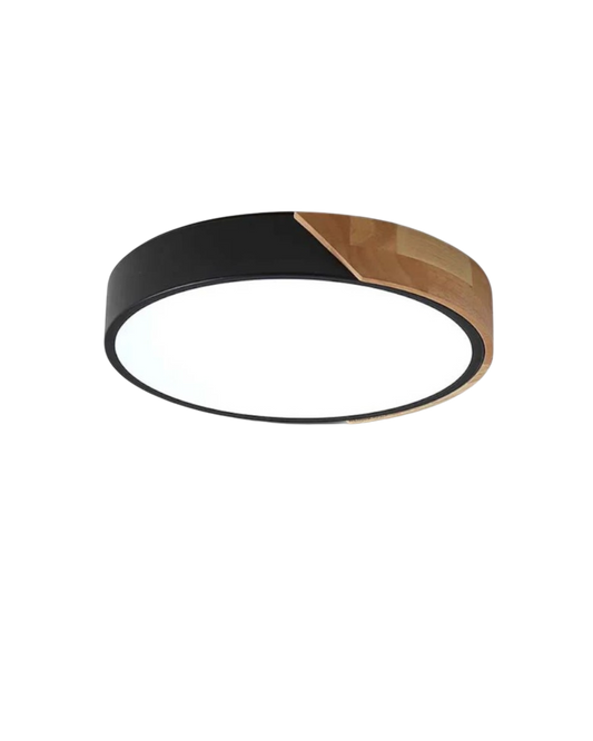 Il circo luminoso