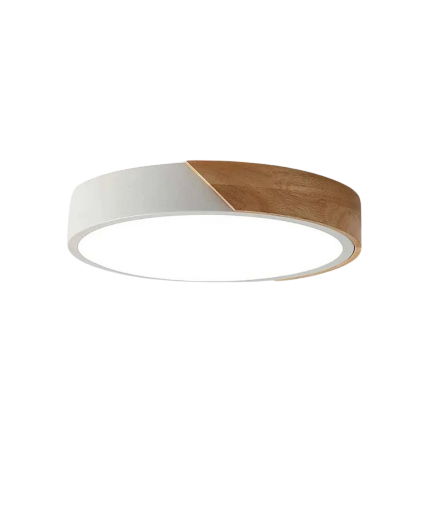 Il circo luminoso