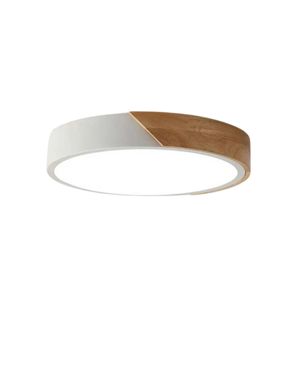 Il circo luminoso