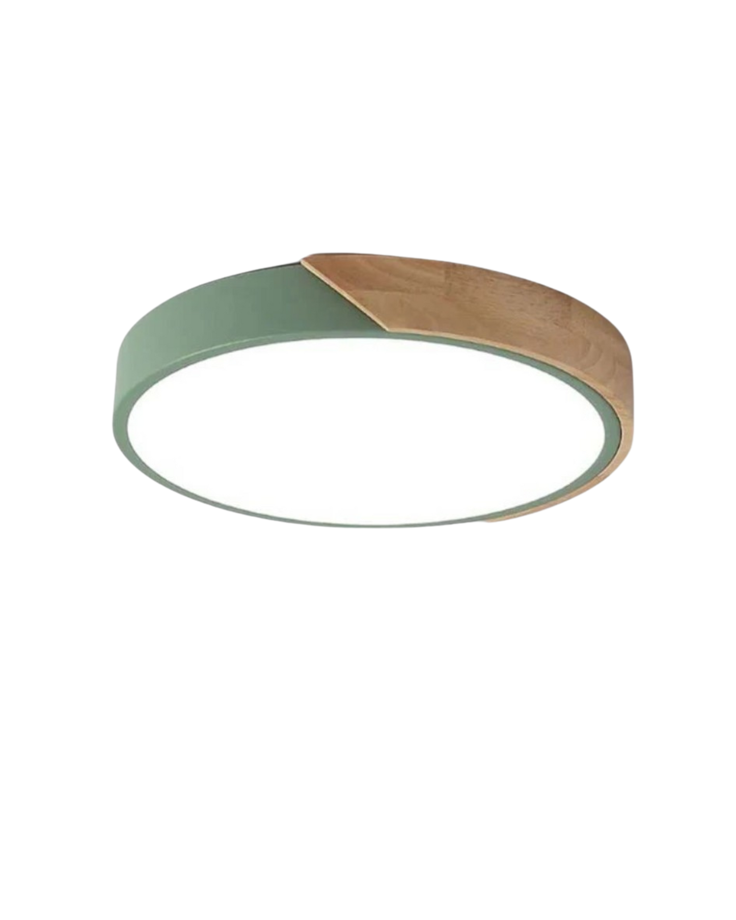 Il circo luminoso