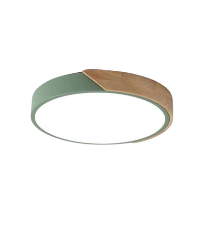 Il circo luminoso