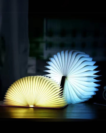Le Livre Lumineux