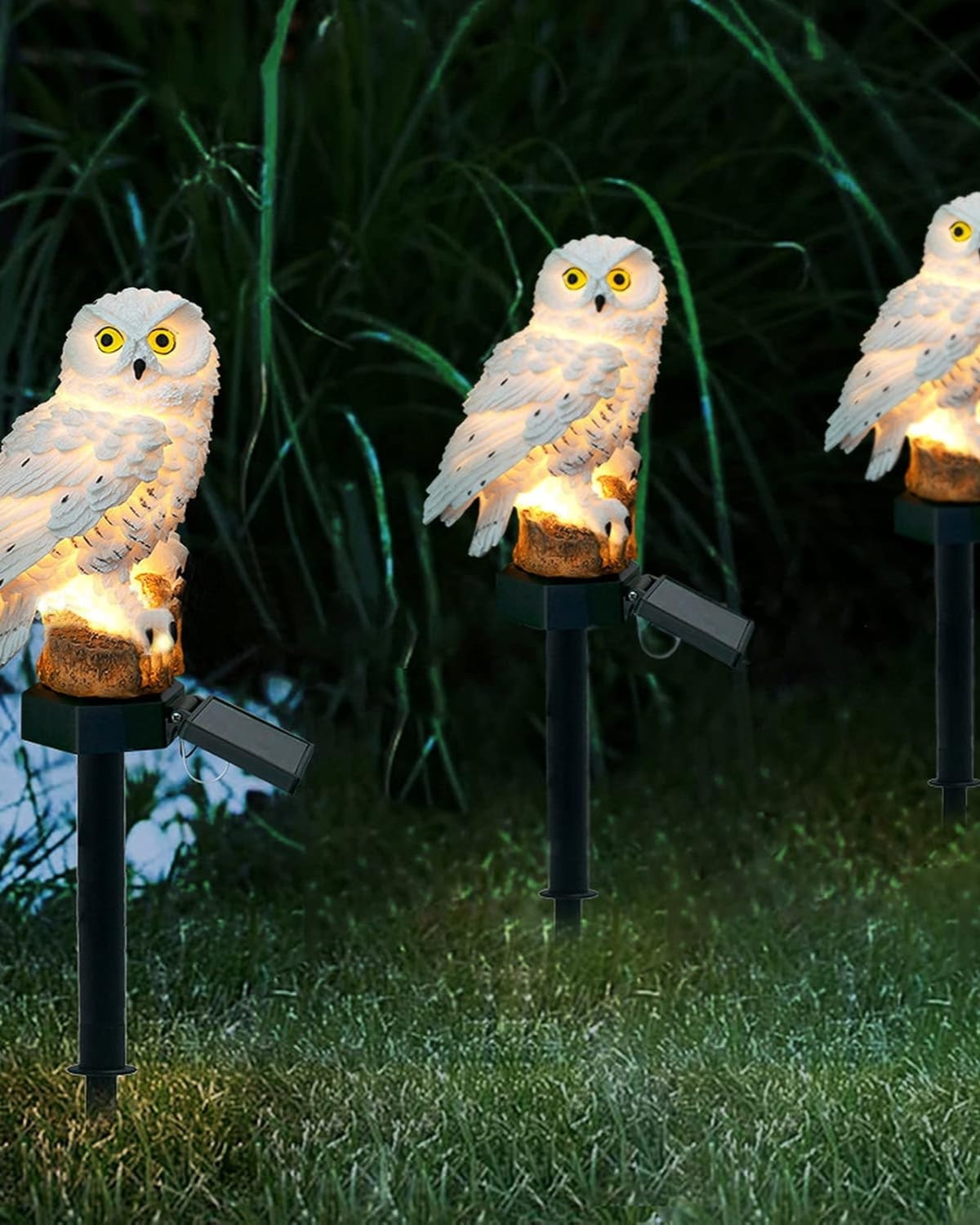 Le Hibou Lumineux
