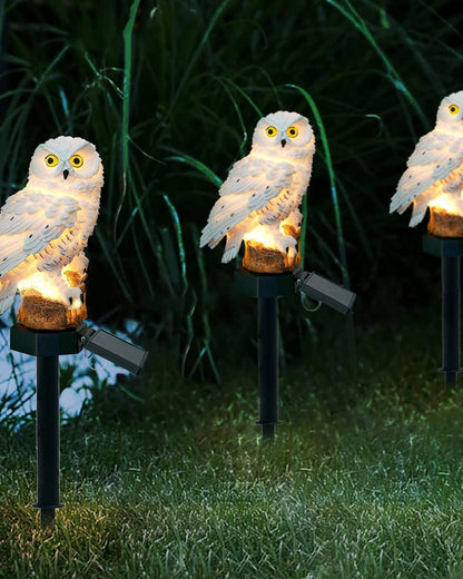 Le Hibou Lumineux