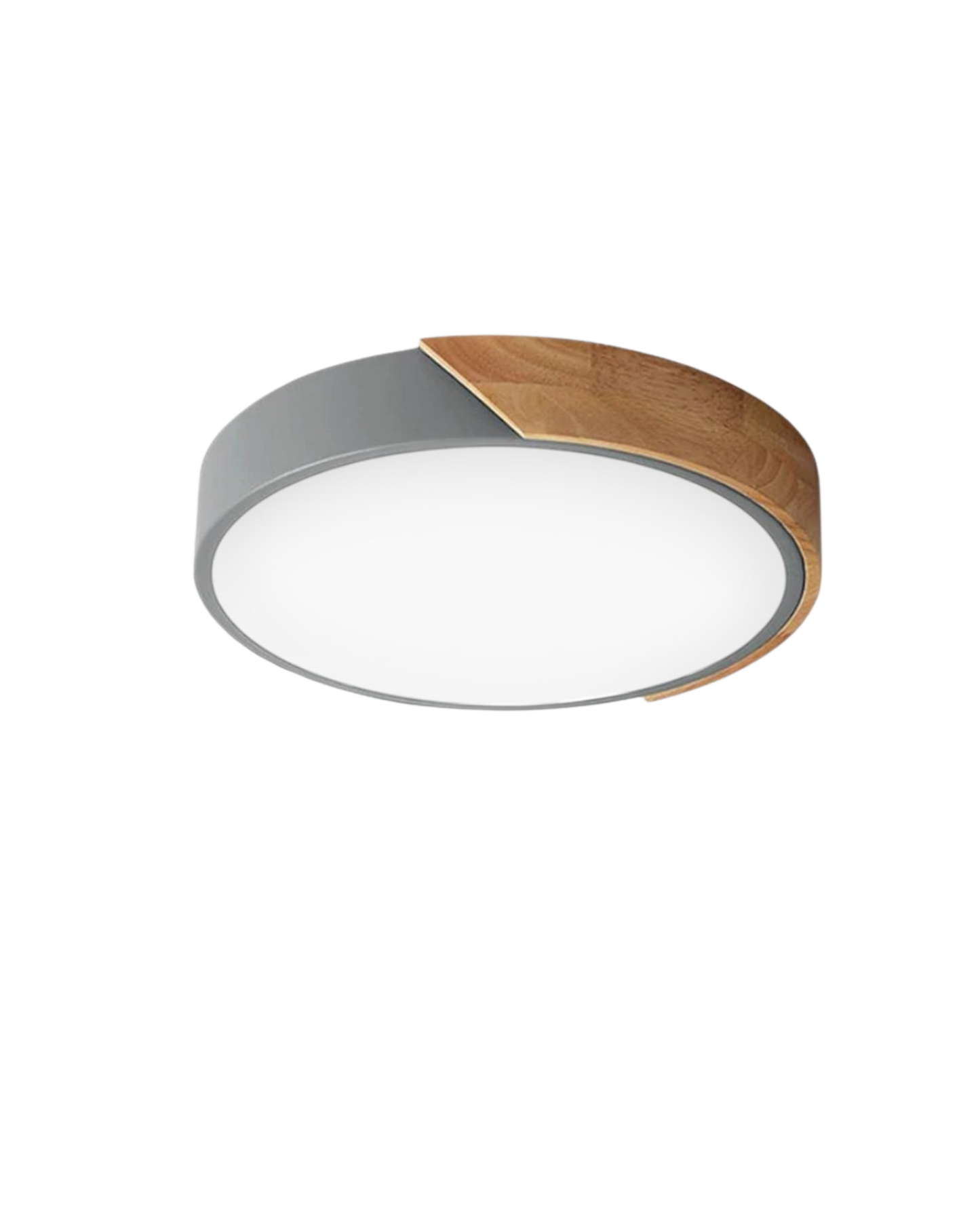 Il circo luminoso