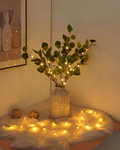 La Lumière Florale