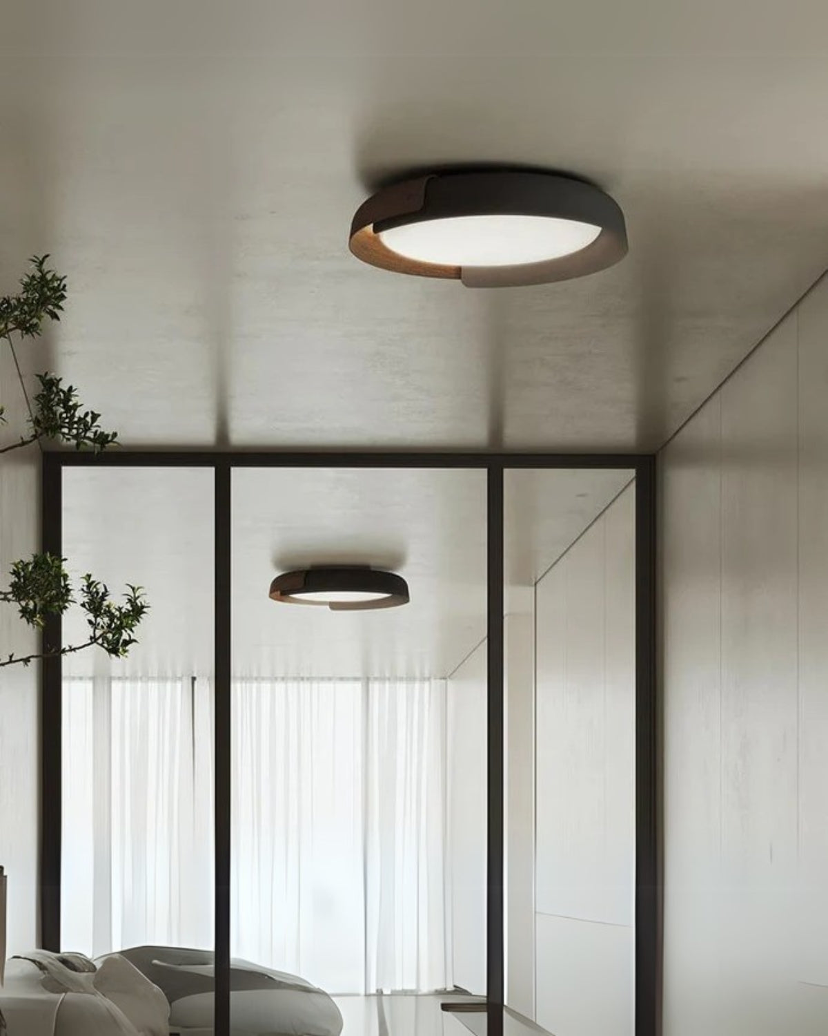 Le Haloir