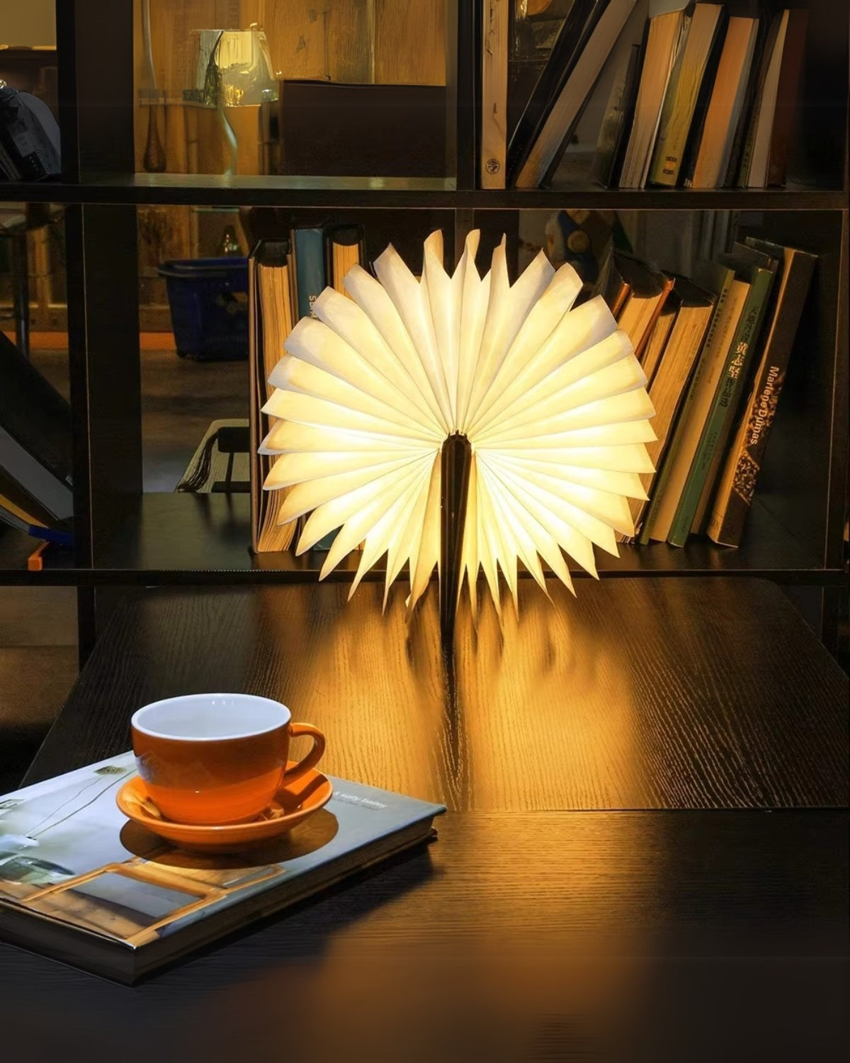 Le Livre Lumineux