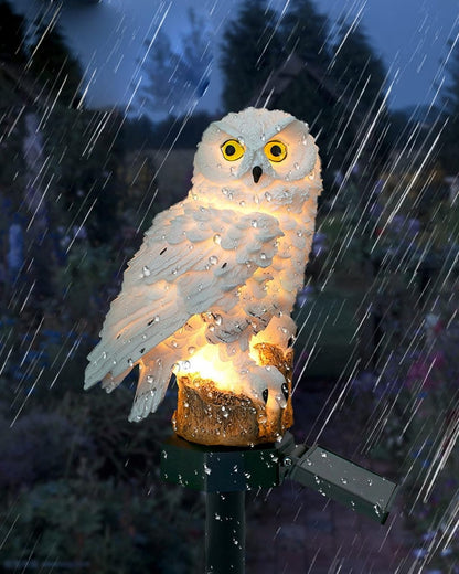 Le Hibou Lumineux