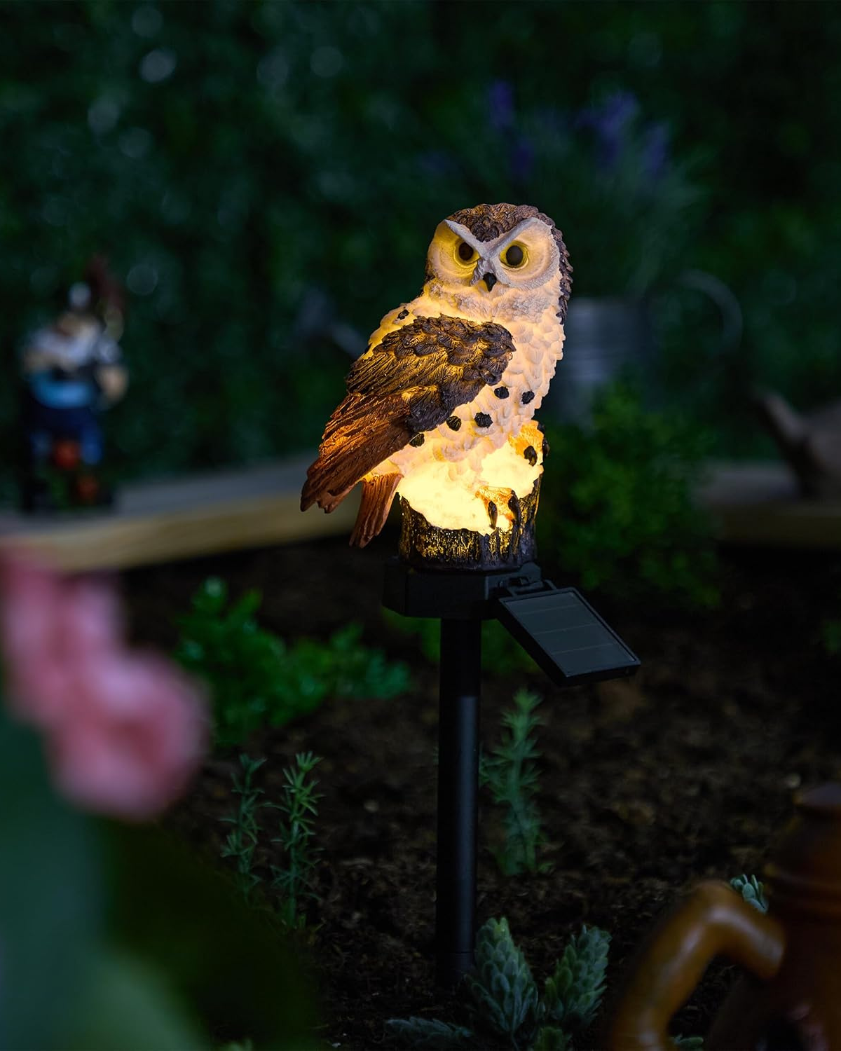 Le Hibou Lumineux
