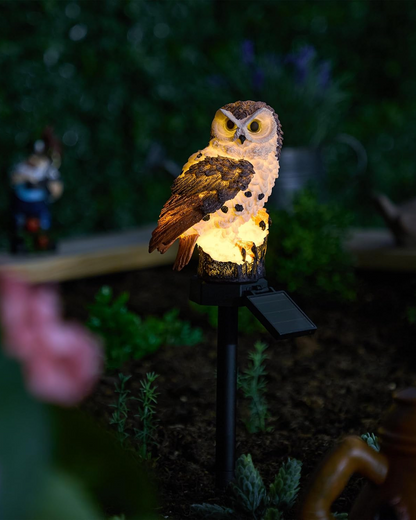 Le Hibou Lumineux