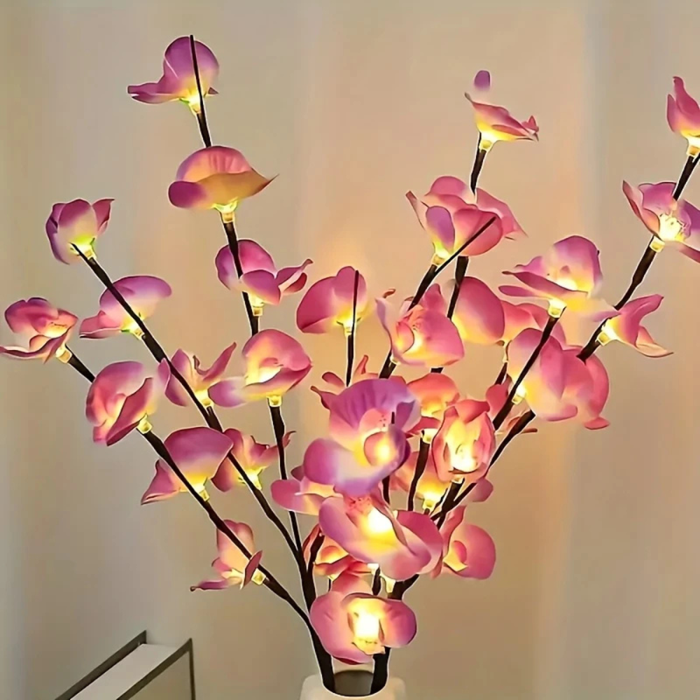 La Lumière Florale