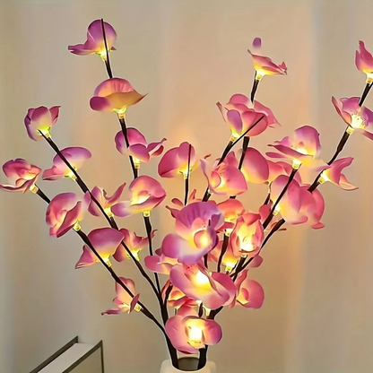 La Lumière Florale