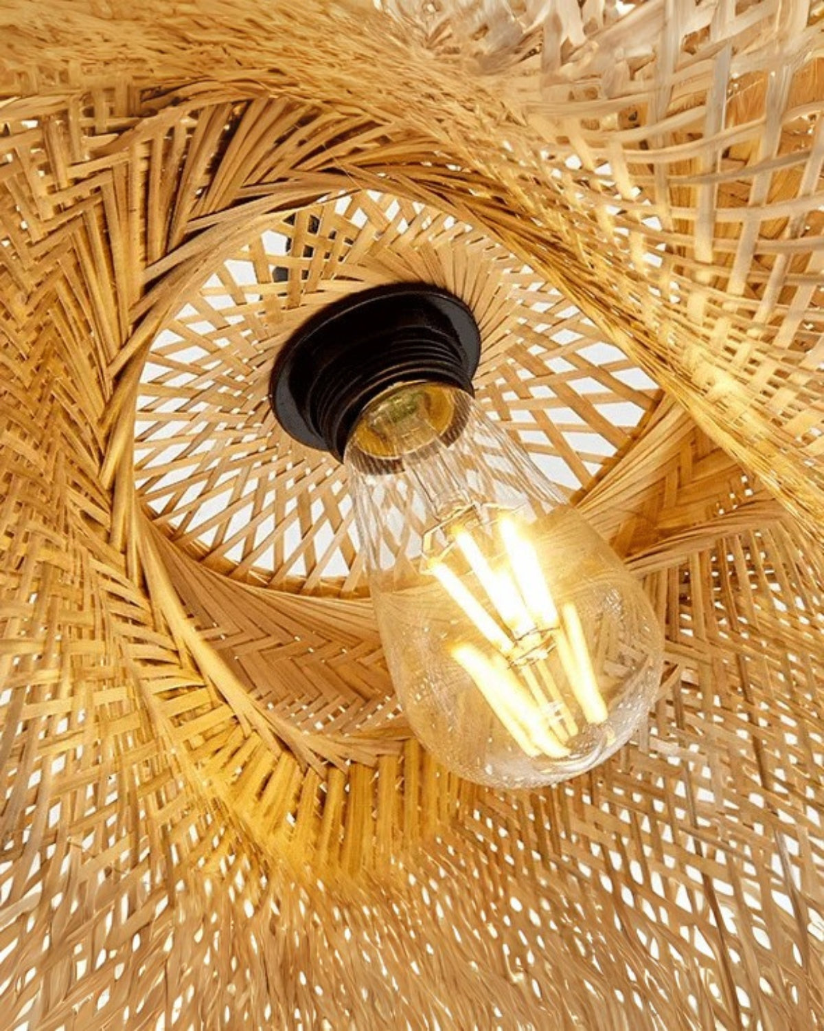 Le Rêve Lumineux