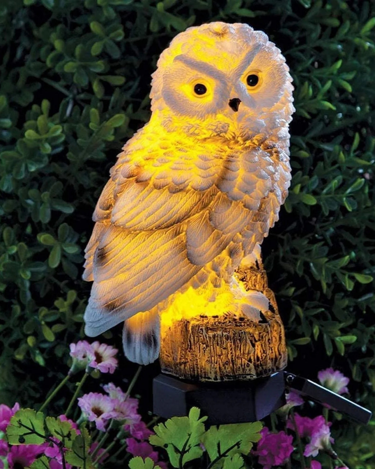 Le Hibou Lumineux